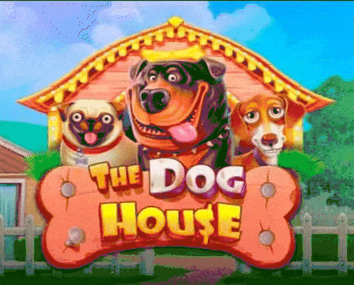 play the dog house in dragoniacasino